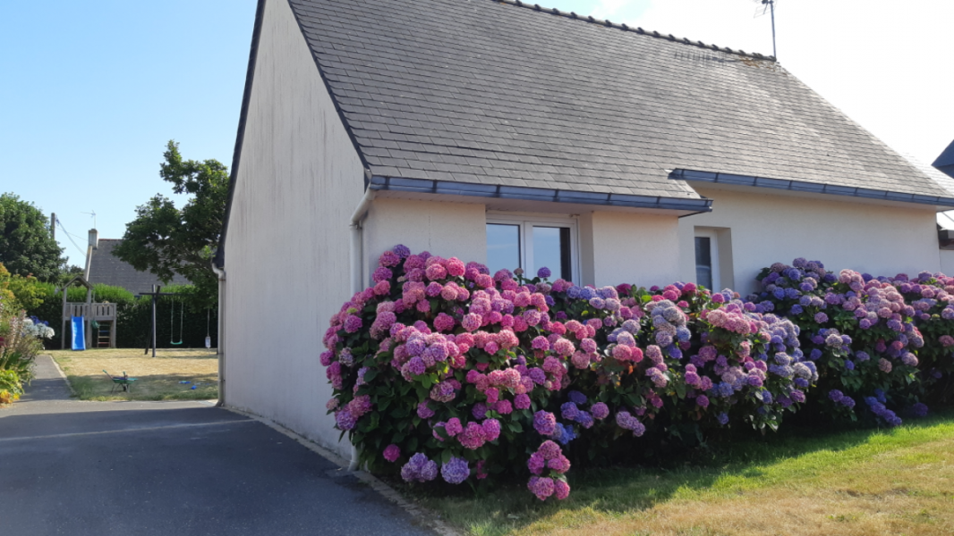Jardin entree